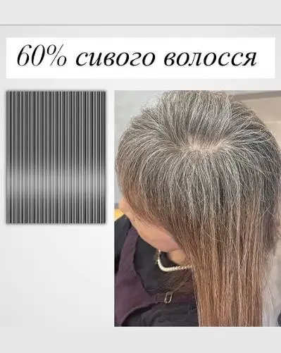 Приклад 60 відсотків сивини
