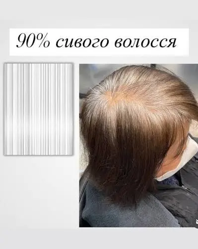 Приклад 90 відсотків сивини